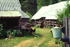 Дзукия